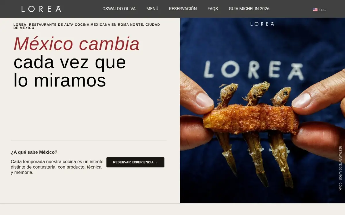 Captura de la página de inicio de Lorea